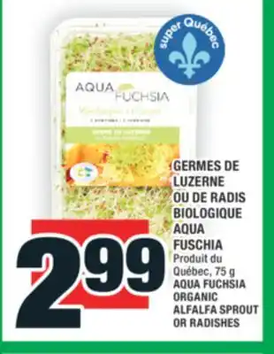 Super C GERMES DE LUZERNE OU DE RADIS BIOLOGIQUE AQUA FUSCHIA | AQUA FUCHSIA ORGANIC ALFALFA SPROUT OR RADISHES offer