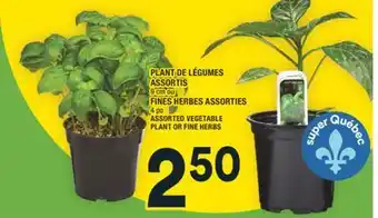 Super C PLANT DE LÉGUMES ASSORTIS | ASSORTED VEGETABLE PLANT offer