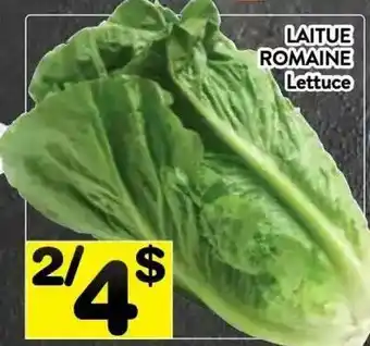 Supermarché PA LAITUE ROMAINE Lettuce offer