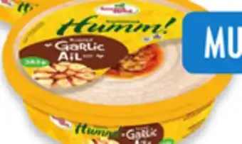 Walmart Fontaine Santé Topped Hummus Dips offer