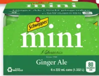 Walmart Schweppes Ginger Ale offer