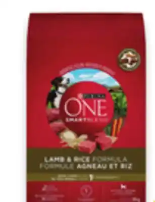Walmart Purina ONE Dry Dog Food offer