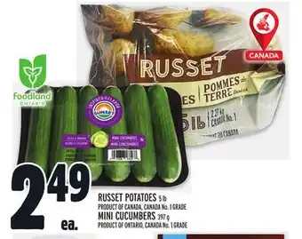 Metro RUSSET POTATOES offer