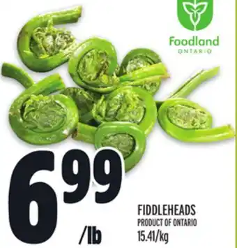 Metro FIDDLEHEADS offer