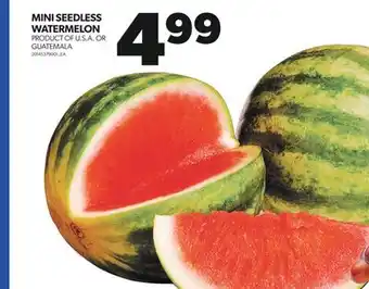 Real Canadian Superstore MINI SEEDLESS WATERMELON offer