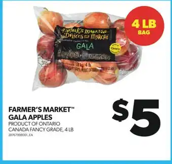 Real Canadian Superstore FARMER'S MARKET GALA APPLES, 4 LB offer