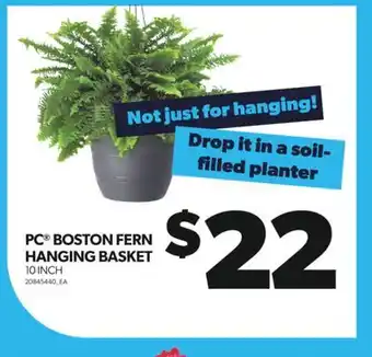 Real Canadian Superstore PC BOSTON FERN HANGING BASKET, 10 INCH offer