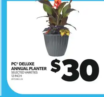 Real Canadian Superstore PC DELUXE ANNUAL PLANTER, 12 INCH offer