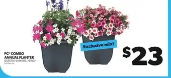 Real Canadian Superstore PC COMBO ANNUAL PLANTER, 10 INCH offer
