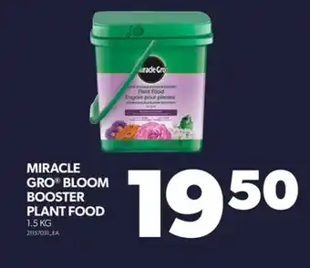 Real Canadian Superstore MIRACLE GRO BLOOM BOOSTER PLANT FOOD, 1.5 KG offer