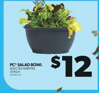 Real Canadian Superstore PC SALAD BOWL, 10 INCH offer