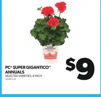 Real Canadian Superstore PC SUPER GIGANTICO ANNUALS, 6 INCH offer