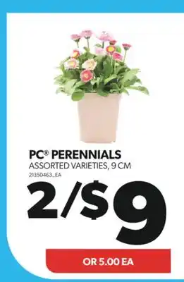 Real Canadian Superstore PC PERENNIALS, 9 CM offer
