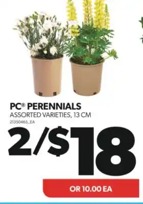 Real Canadian Superstore PC PERENNIALS, 13 CM offer
