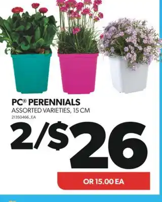 Real Canadian Superstore PC PERENNIALS, 15 CM offer