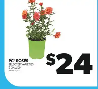 Real Canadian Superstore PC ROSES, 2 GALLON offer