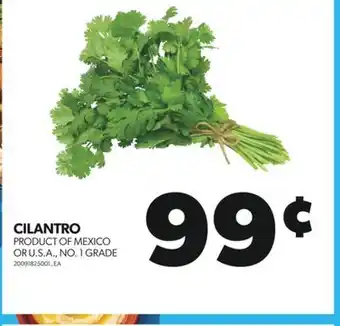 Real Canadian Superstore CILANTRO offer