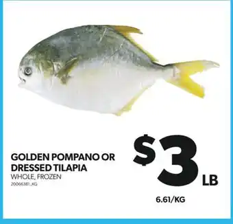 Real Canadian Superstore GOLDEN POMPANO OR DRESSED TILAPIA offer