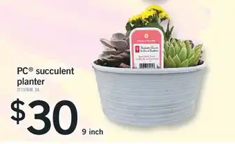 Fortinos PC SUCCULENT PLANTER, 9 inch offer