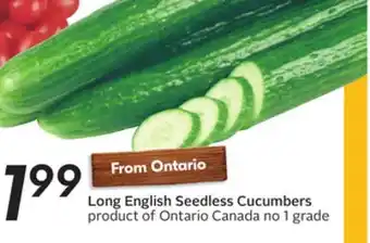 Sobeys Long English Seedless Cucumbers offer