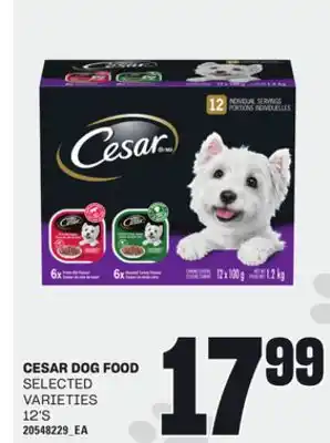Loblaws CESAR DOG FOOD, 12'S offer