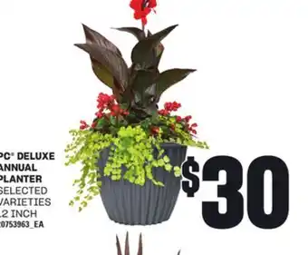 Loblaws PC DELUXE ANNUAL PLANTER, 12 INCH offer