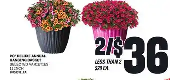 Loblaws PC DELUXE ANNUAL HANGING BASKET, 11 INCH offer