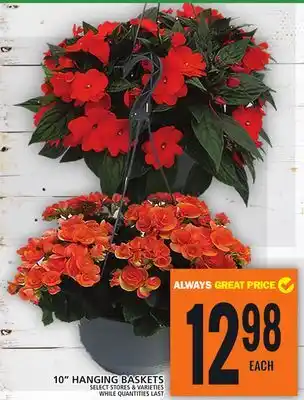 Food Basics 10 HANGING BASKETS offer