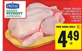 Food Basics PRIME RAISED WITHOUT ANTIBIOTICS FRESH WHOLE CHICKEN offer