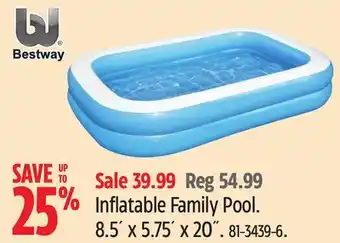 Canadian Tire Inflatable Family Pool offer
