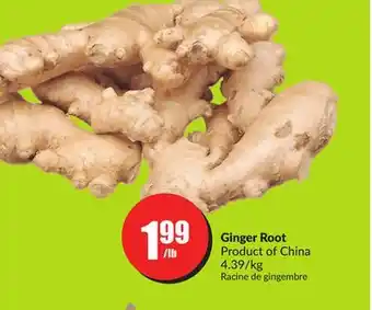 FreshCo Ginger Root Product of China offer