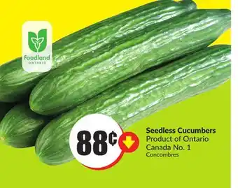 FreshCo Seedless Cucumbers Product of Ontario Canada No. 1 offer