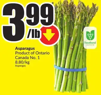 FreshCo Asparagus Product of Ontario Canada No. 1 8.80/kg offer