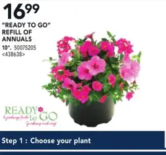RONA READY TO GO REFILL OF ANNUALS 10' offer