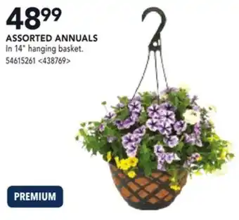 RONA ASSORTED ANNUALS offer