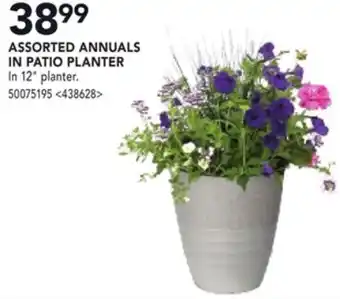 RONA ASSORTED ANNUALS IN PATIO PLANTER offer