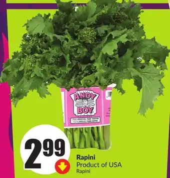 Chalo FreshCo Rapini USA offer