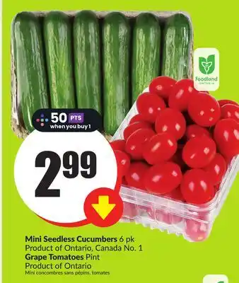 Chalo FreshCo Mini Seedless Cucumbers 6 pk Product of Ontario, Canada No. 1 Grape Tomatoes Pint Product of Ontario offer