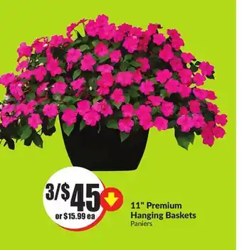 Chalo FreshCo 11 Premium Hanging Baskets offer