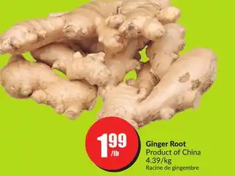 Chalo FreshCo Ginger Root Product of China 4.39/kg offer