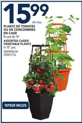 RONA ASSORTED CAGED VEGETABLE PLANTS offer