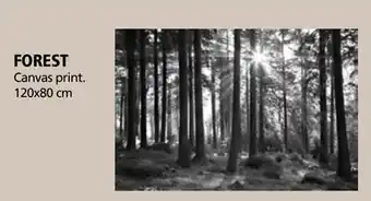 JYSK FOREST Canvas print offer