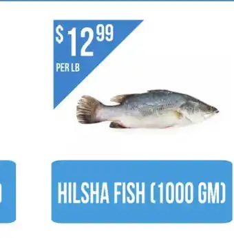 Food World Supermarket Hilsha Fish (1000 gm) offer