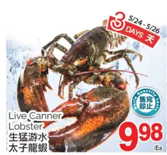 T&T Supermarket LIVE CANNER LOBSTER offer