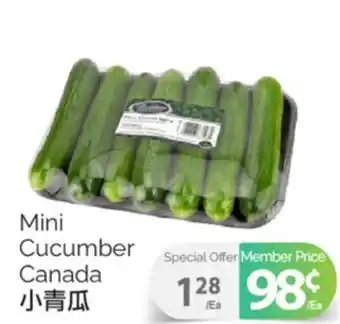 T&T Supermarket MINI CUCUMBER offer