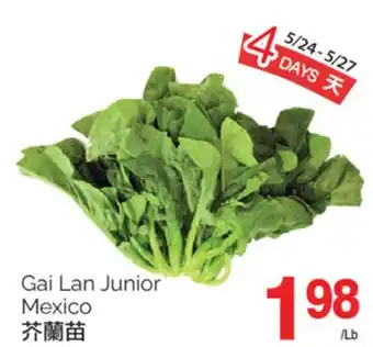 T&T Supermarket GAI LAN JUNIOR MEXICO offer