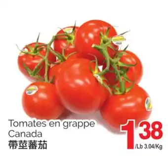 T&T Supermarket TOMATES EN GRAPPE CANADA offer