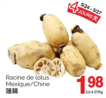 T&T Supermarket RACINE DE LOTUS offer