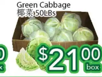 Ample Food Market GREEN CABBAGE offer