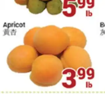 Oceans Fresh Food Market Apricot offer